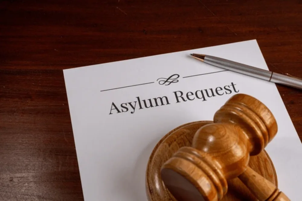 Asylum Application Process