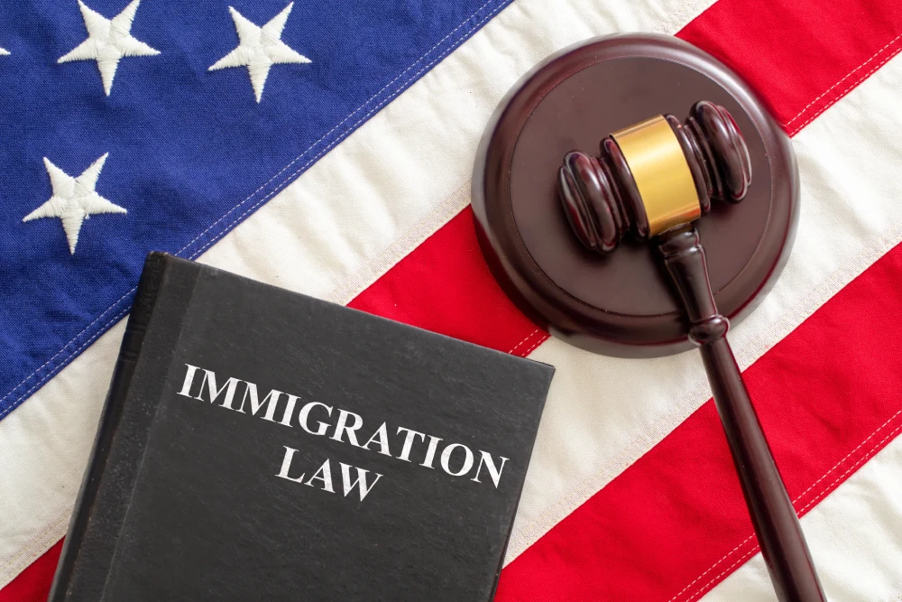 immigration bond hearings