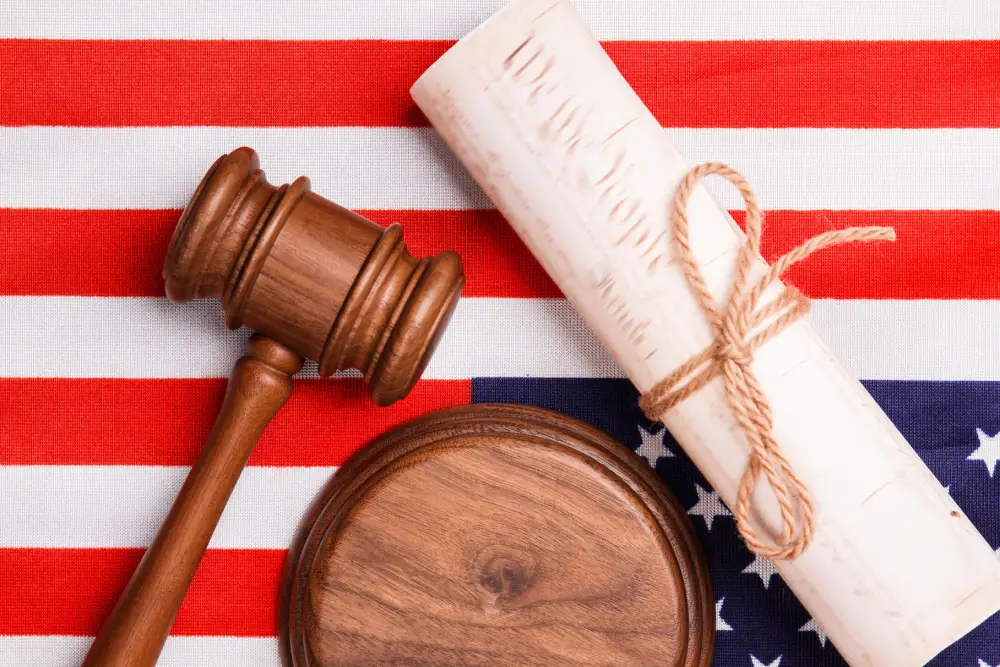habeas corpus petition