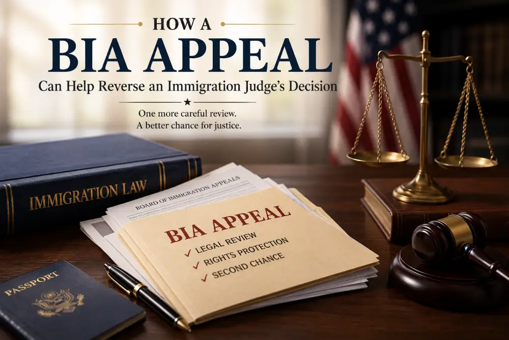 Immigration appeals