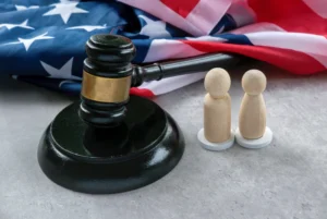 immigration courts