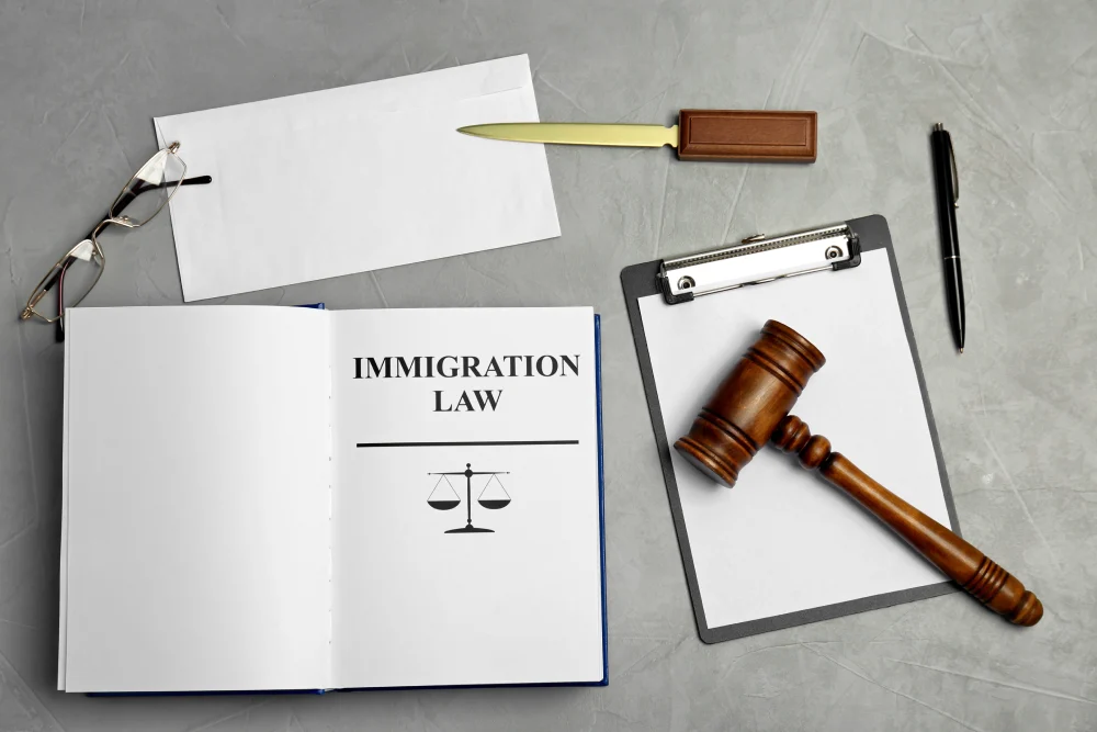 new immigration law